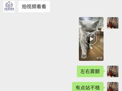 -爱佳宠物中心医院24H·CT·骨外科·猫专科(瑶海万达店)