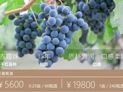 -源石酒庄