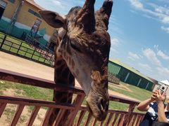 -鄂尔多斯野生动物园