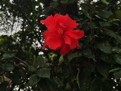 -南宁南湖公园