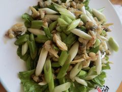 -凤百年大骨鸡饭庄