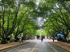 -同济大学（四平路校区）-图书馆