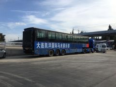 -大连凯洋马术俱乐部有限公司