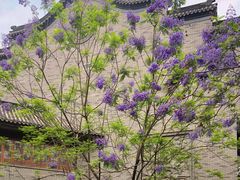 -龙潭水乡