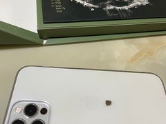 -小苍兰风铃草·礼物蛋糕(沈阳店)