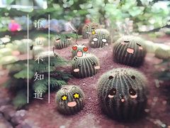 -呀路古热带植物园