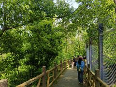 -青龙山国家森林公园