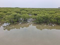 -北海金海湾红树林生态旅游区