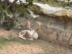 -祥源·阜阳生态乐园