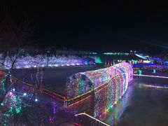 -北京鹿世界主题园