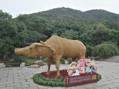 -宝岩生态观光园