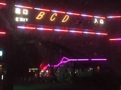 -枫花园汽车电影院(朝阳公园店)