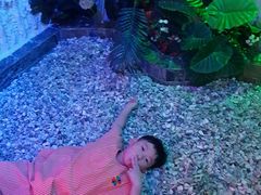 -水晶之星洗浴温泉汗蒸