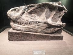 -自贡恐龙博物馆