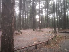 -重庆睡佛山森林公园