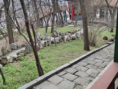 -高尔山公园