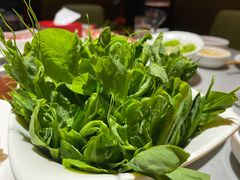 豌豆苗-海底捞火锅(振华商厦店)