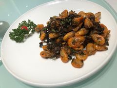 -新吉士·上海菜(浦东LCM置汇旭辉店)