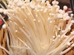 -老长春果木炭涮羊肉(东田·青年城店)