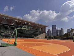 -深圳市宝安体育中心体育场
