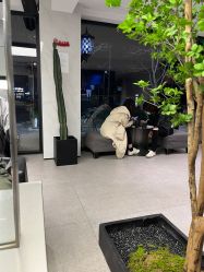 -付军剪艺JF ProSalon