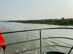 -洪湖生态旅游区