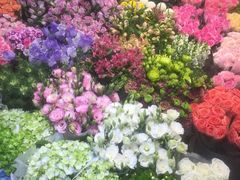-双季花艺园艺市场(浦东店)
