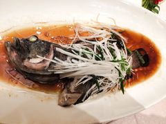 -锦江都城闵行饭店