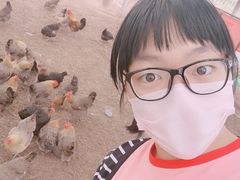 -甜心庄园·甜心草莓采摘园(西青中北店)