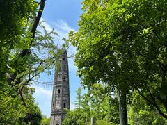 -上海佘山国家森林公园天马山园