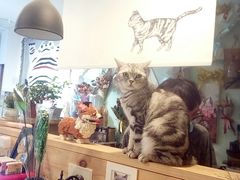 -平行世界·猫咖(首经贸店)