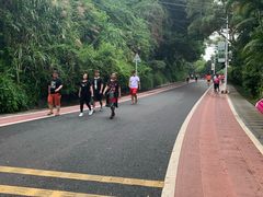 -仙岳公园