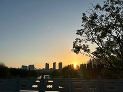 -三垟湿地