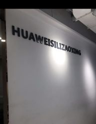 -华卫思理轻奢造型