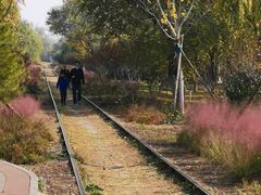 -永定河休闲森林公园