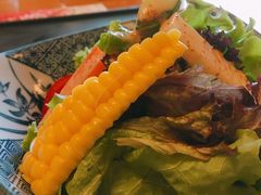 蔬果色拉-王鼎精致料理铁板烧(世博源店)