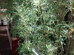-海乐健康美食·SPA水疗会(水都假日酒店)