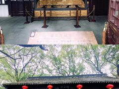 -上海醉白池公园