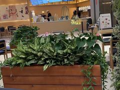 -鹊茶咖啡•新中式(深圳首店)
