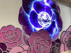 -新世界大丸百货