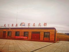 -山丹皇家马场