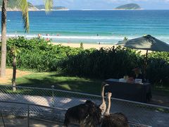 -三亚亚龙湾天域度假酒店