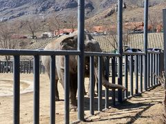 -新疆天山野生动物园