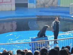 -华夏文旅海洋公园