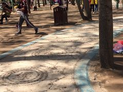 -东方巨龟苑景区