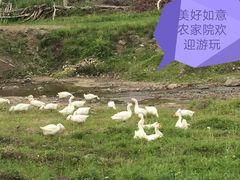 -九龙潭景区