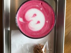 -WHEN PIGS FLY当猪飞