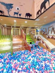 -卡通尼·Safari非洲探索乐园·生日会(金桥国际商业广场店)