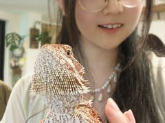 -吉丁鸟咖·异宠·寄养