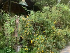 -北京水岸山吧度假村(雁栖镇店)